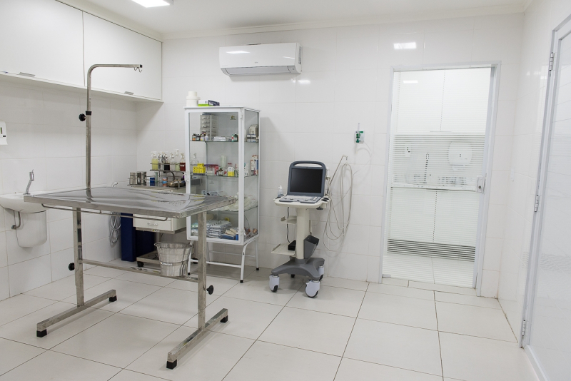 Cirurgia Veterinária em Cachorros em Sp Portão - Centro Cirúrgico Veterinário de Grande Porte