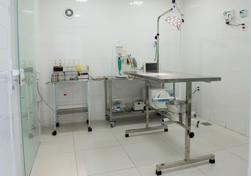 Clínica Veterinária com Anestesia Morro Grande - Clínica Veterinária com Internação