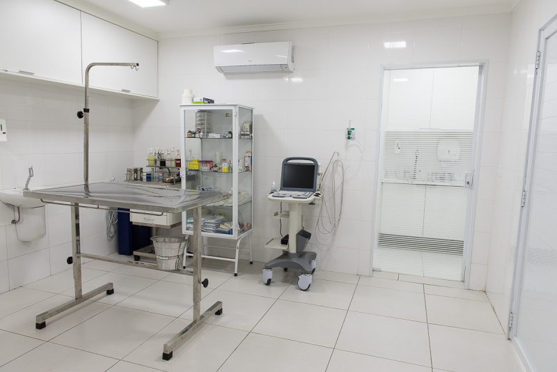 Consulta Dermatologia Veterinária Panorama - Consulta Veterinária Popular