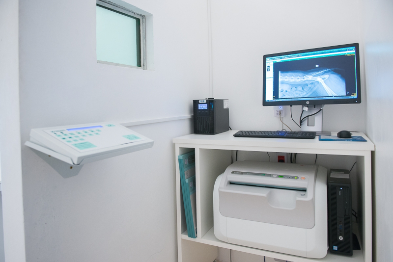 Laboratório de Exames Veterinários Preço Parque Alexandre - Exames Cardiológicos Veterinários