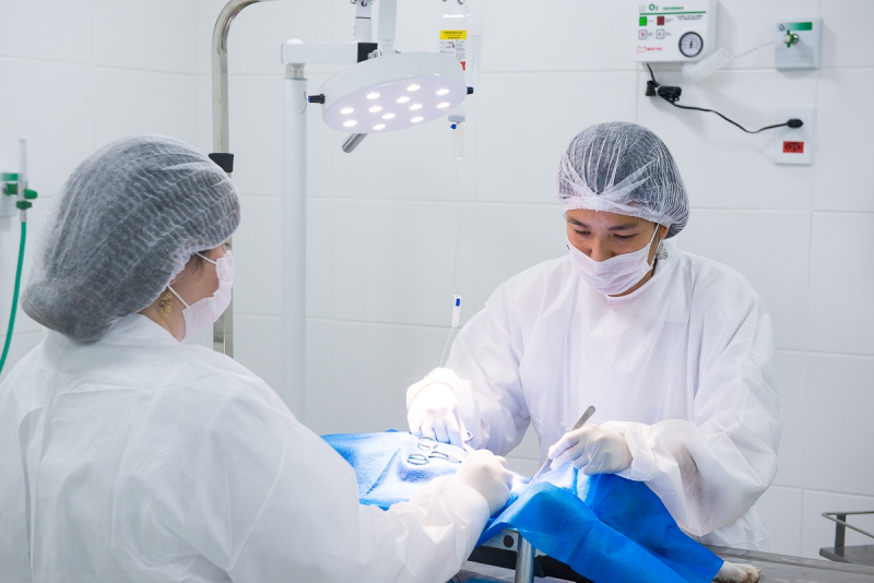 Onde Encontrar Cirurgia Veterinária Osasco - Centro Cirúrgico Veterinário para Castração de Animais