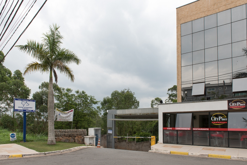 Onde Encontrar Clínica Veterinária para Aves Jardim Lina - Clínica Veterinária com Anestesia