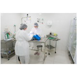 clínica com centro cirúrgico veterinário para animais Granja Viana