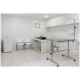 clínica veterinária com anestesia em sp Santana de Parnaíba