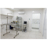 consulta dermatologia veterinária Centro