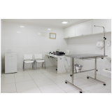 ultrassom veterinário Pinheiros